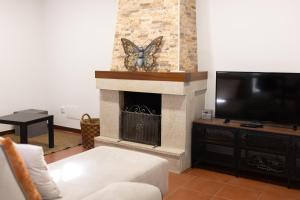 a living room with a fireplace and a tv at Ermal Green Haven in Vieira do Minho
