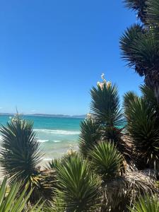 a view of a beach with palm trees and the ocean at Apartamento do Peró in Cabo Frio