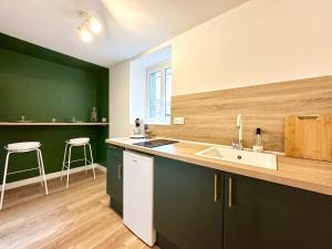 a kitchen with green walls and a white sink at Le SPA Étoilé - Baignoire Balnéo et Sauna Privatif in Mont-de-Marsan