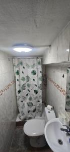a bathroom with a toilet and a sink and a shower curtain at Small, cozy tiny apartment, complete in Lichtenau
