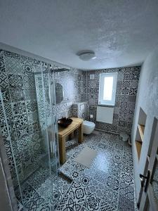 a bathroom with a shower and a sink and a toilet at Vila Dom pod Chopkom in Bystrá +24 photos