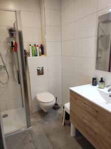 a bathroom with a toilet and a shower and a sink at Appartement rez de chaussée - 2 chambres in Bischheim