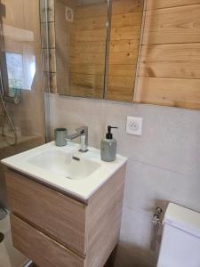 a bathroom with a sink and a mirror and a toilet at Le Petit Chalet in Saint-Jorioz
