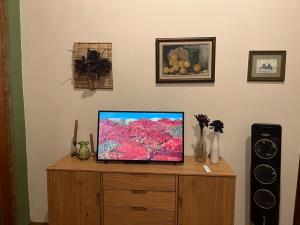 a television sitting on top of a wooden cabinet at Chalé Bem-te-vi Vista espetacular da Serra da Mantiqueira in São José dos Campos