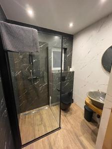 a bathroom with a shower and a sink at Bieszczadzkie Pola in Wańkowa