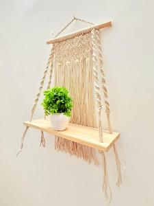 a wooden shelf with a plant on a wall at Serenyaa in Dibrugarh
