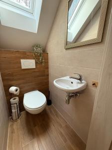 a bathroom with a toilet and a sink at Forest House Buxusson in Dolní Slověnice +7 photos