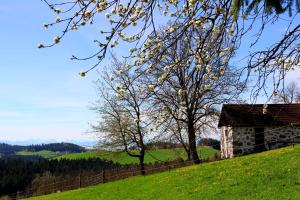 a stone building on a hill with a tree at Western Style Planenwagen in Henndorf