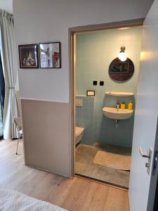 a bathroom with a toilet and a sink at Herberg Hanenberg in Wissenkerke +29 photos