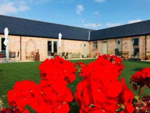 Gallery image of Honeysuckle, Elm Tree Farm Cottages in Brackley +89 photos
