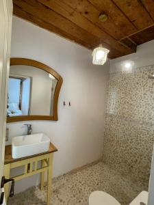 a bathroom with a sink and a mirror at Doftana 609 in Trăisteni +29 photos