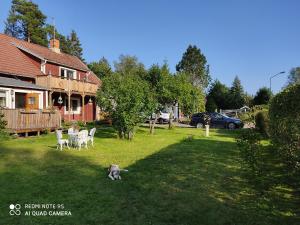 a dog running in the yard of a house at Bodasjön II in Boda Glasbruk