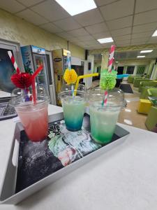 three drinks in plastic cups on a tray on a table at Pensiunea La Castel - Piscina incalzita in Costinesti