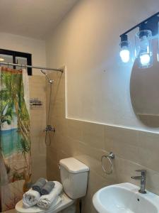 a bathroom with a toilet and a sink and a mirror at Apartamento Piro 1 - 4 pax - a 5 Min De La Playa in Las Galeras