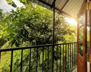 a balcony with a view of a forest at Yala Eagle Nest & Safari in Tissamaharama