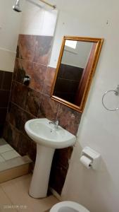 a bathroom with a sink and a mirror and a toilet at Palm Terrace Guesthouse in Durban +2 photos