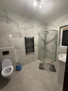 a bathroom with a shower and a toilet and a sink at Między Wzgórzami Korbielów in Korbielów