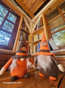 two cats wearing hats sitting on a table in a library at Ostoja Karkonoska in Podgórzyn