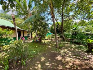 a yard with palm trees and a house at Habitacion Atico in Curubandé