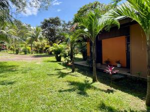 a garden view of a house with palm trees at Habitacion Atico in Curubandé
