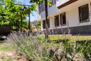 a garden with purple flowers in front of a house at Cappadocia Beyaz Konak 2 in Gülşehir