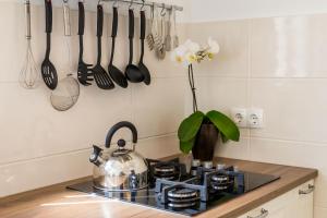 a kitchen with a stove and utensils on the wall at Villa Rubea in Cavtat
