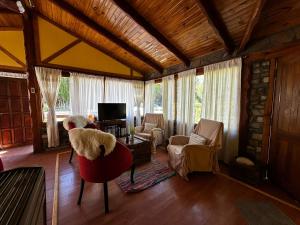 a living room with a teddy bear sitting on a chair at Sentidos cardinales casa B Encanto in Perito Moreno
