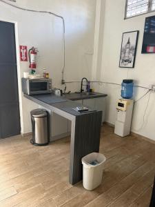 a kitchen with a sink and a counter with a microwave at Rincon Dorms in Rincon