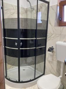 a shower in a bathroom with a toilet at Trai bun in Maramures in Fereşti