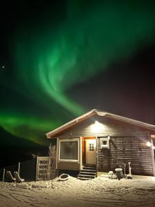 a house with the aurora in the sky at Suovka reindeer & bird lodge in Varangerbotn