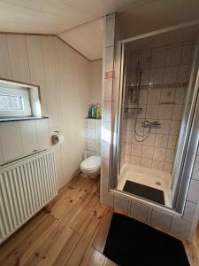 a bathroom with a shower and a toilet at Gîte de la barrière in Libin +12 photos