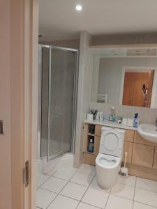 a bathroom with a shower and a toilet and a sink at 2 Bedroom APARTMENT in Manchester +19 photos