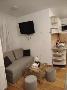 a living room with a couch and a tv on the wall at Roza in Ruma