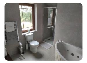 a bathroom with a tub and a toilet and a sink at Dairy Guesthouse in Cappamore