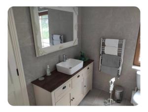 a bathroom with a sink and a mirror at Dairy Guesthouse in Cappamore