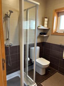 a bathroom with a toilet and a shower at Casa da Calçada in Mujães