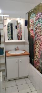 a bathroom with a sink and a mirror at T2 Voltaire in Bègles