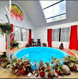 a large indoor pool with plants in a room at Mystic Solarium Private Indoor Pool in Chachagua