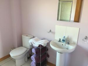 a bathroom with a toilet and a sink at Seashore House in Johnshaven