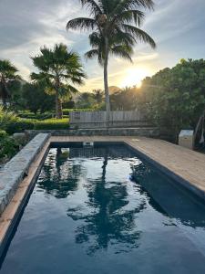 a swimming pool in a yard with palm trees at Le joyau de Pinel in Saint Martin