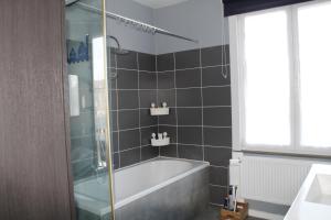 a bathroom with a bath tub and a shower at Casa Seblina in Ostend +16 photos