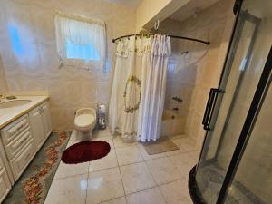 a bathroom with a shower and a toilet and a sink at Quiet Escape Unity Hall in Montego Bay +73 photos