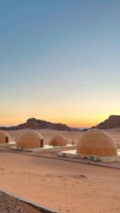 a row of domes in the desert at sunset at MARS MIRROR BUBBLE lUXURY CAMP in Wadi Rum