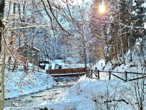 a snow covered forest with a bridge and trees at Alpine's Apartment in Arnoldstein