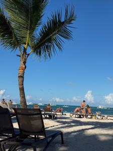 a palm tree and chairs on the beach at Luxury 3-Bedroom Penthouse, Punta Cana, Pool-BBQ-Beach Access-Private Rooftop-Padel in Punta Cana