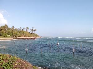 Gallery image of The Forest Villa in Weligama