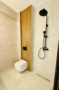 a bathroom with a toilet and a shower at Boutique Hotel Pui de Urs Fundata in Ciocanu