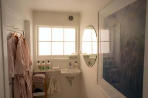 a bathroom with a sink and a window and a shower at Finnis Studio in Napier