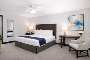 a bedroom with a bed and a desk and a chair at Tilden Hotel Union Square in San Francisco +25 photos