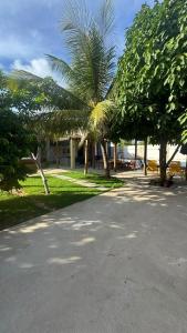 a walkway with palm trees in a park at Casa pôr do Sol in Aracaju